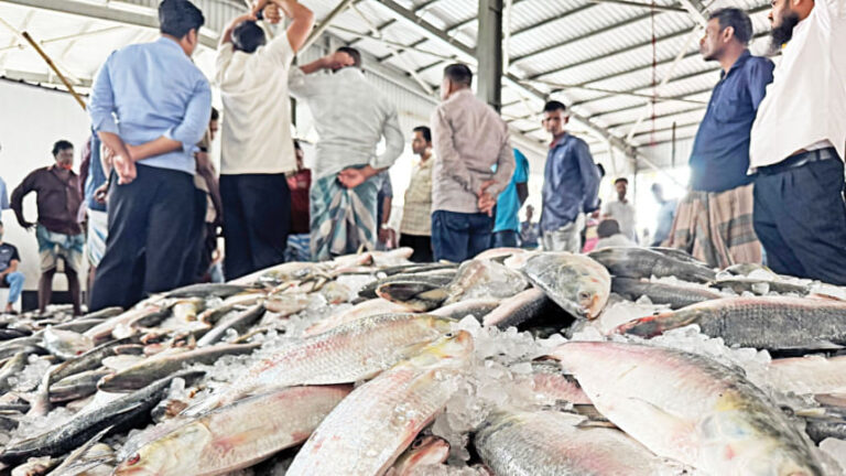 豊富な漁獲量にもかかわらずヒルサの価格が高騰する理由