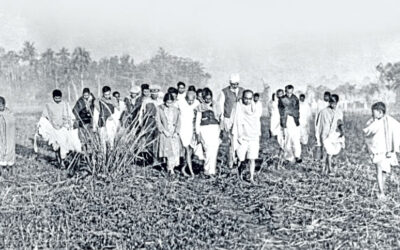 ノアカリにおけるガンジーの調和の探求