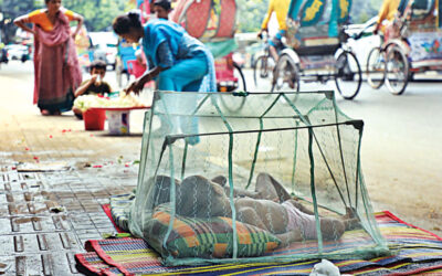 デング熱でさらに4人が死亡