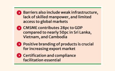 CMSMEは潜在能力を最大限に発揮するのに苦労している