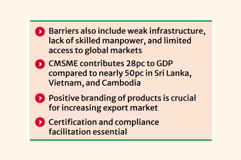 CMSMEは潜在能力を最大限に発揮するのに苦労している