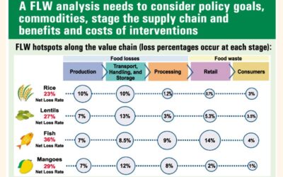 GDPの4%に相当する約34%の作物が消費前に失われた