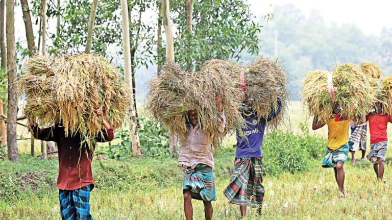 収穫後の損失は年間2100万トンの食糧を消費：CPD