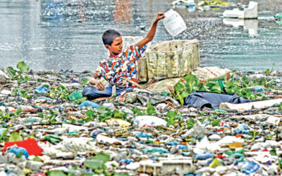 全国セミナーで低所得世帯の児童保護強化を求める