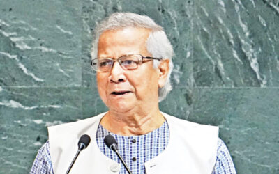 世論調査を阻止しようとする一部の国際団体