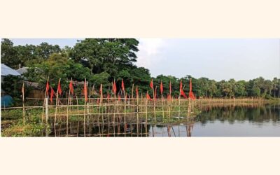 10地区の魚類保護区の作業の75%が完了