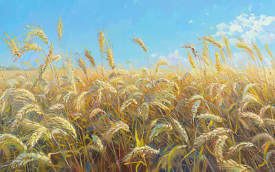 小麦が16,000億タカ規模の産業を支える