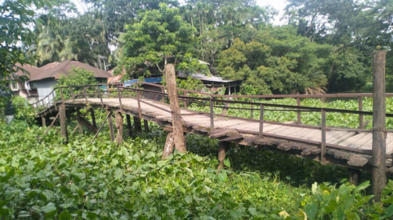 バルグナの鉄橋357本が崩落の危険にさらされている