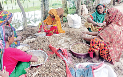 ピーナッツの力