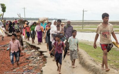 なぜ世界は前進してロヒンギャ問題を解決することができないのでしょうか?
