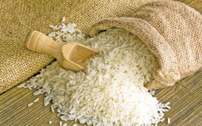 ヒリ港を通じた大量の米輸入が市場価格を下落させる