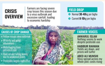 イシュワルディの豆王国でのウイルス攻撃は農家を混乱させる