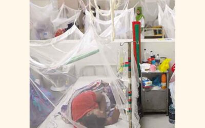 デング熱で6人死亡