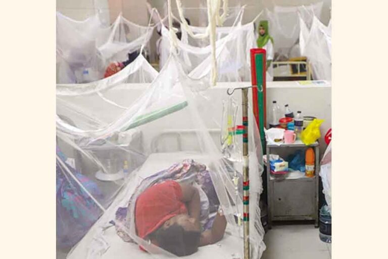 デング熱で6人死亡