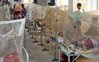 デング熱でさらに6人が死亡、647人が入院