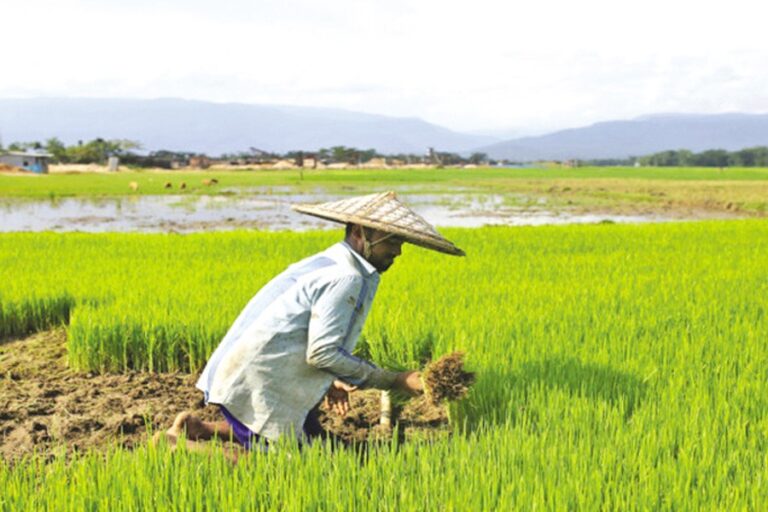 農家はシンジケートの圧力で高利融資を受けている：CAB長官