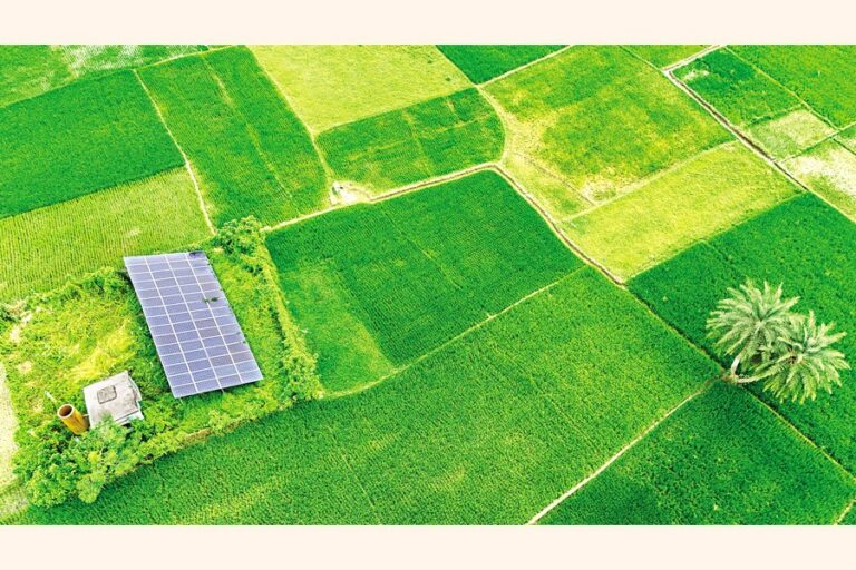 ジェナイダの農家は太陽光発電の灌漑ポンプを使って浅い機械を稼働させている