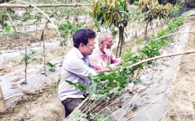 現代農業は費用対効果の高い技術を推進する