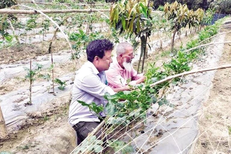 現代農業は費用対効果の高い技術を推進する