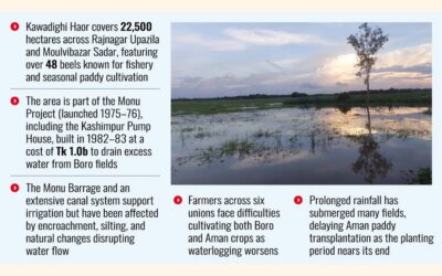 浸水により、モウルビバザールでは1,000ヘクタールが耕作不能に