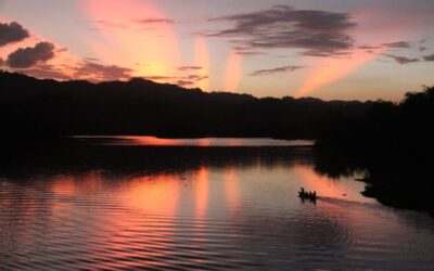 丘陵の自然の美しさ