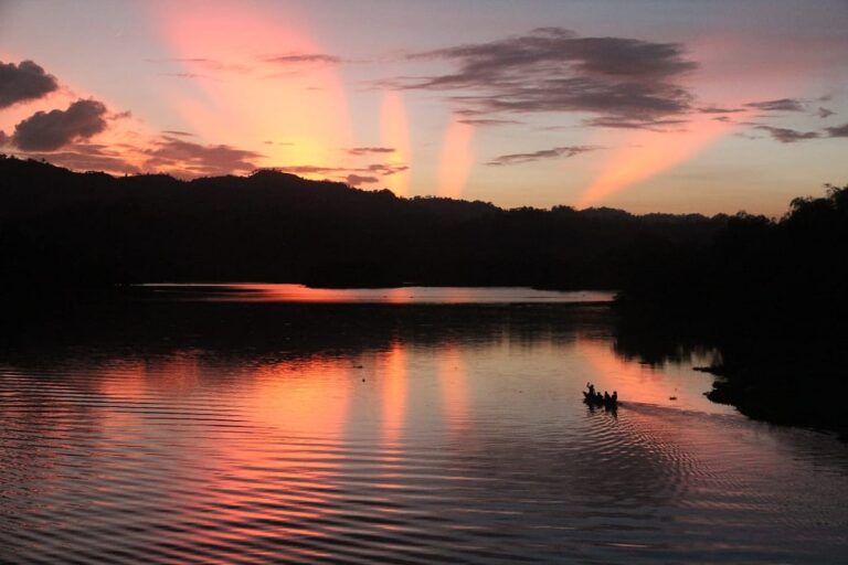 丘陵の自然の美しさ