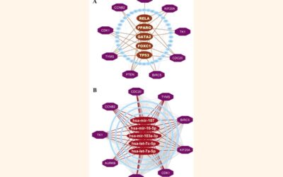 RUの研究者らがデングウイルスの新たな遺伝子9つを特定