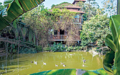 ペースよりも平和を選ぶ