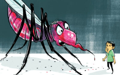 デング熱の急増：ミットフォード病院は限界に達している