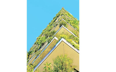 炭素から保全へ：グリーン建設の約束