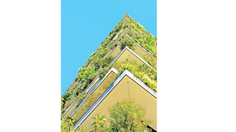 炭素から保全へ：グリーン建設の約束
