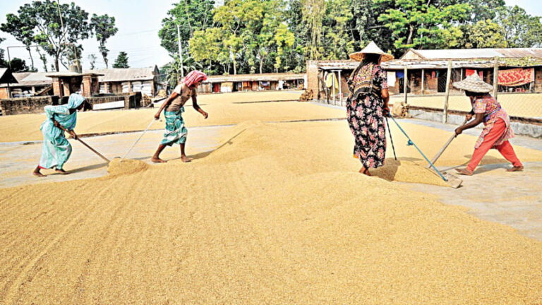 政府は米精米所を全国に均等に分散させるため介入