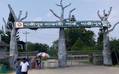 ガジプールサファリパーク：5年間で少なくとも37匹の動物が死亡または行方不明