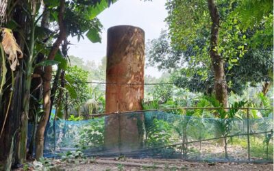 ガイバンダのサガタで灌漑ポンプが故障しているため、農民は解決策を求めている