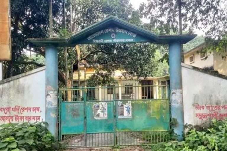 イシュワルディシルク苗床は現在、荒廃している