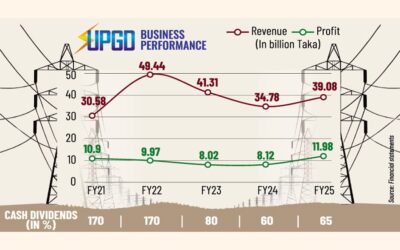 ユナイテッド・パワーの利益は過去最高を記録、しかし投資家は配当抑制に反応