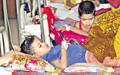 デング熱による死亡者6人新たに報告