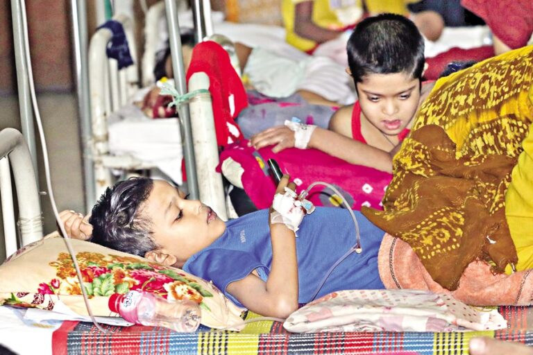 デング熱による死亡者6人新たに報告