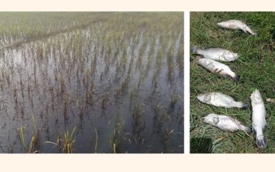 SPMプロジェクトの廃棄物が広範囲の汚染と損害を引き起こす