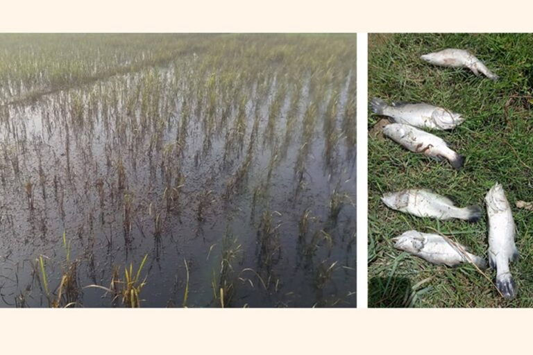 SPMプロジェクトの廃棄物が広範囲の汚染と損害を引き起こす