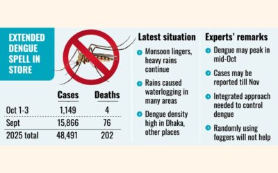 大雨により10月のデング熱症例が倍増する可能性