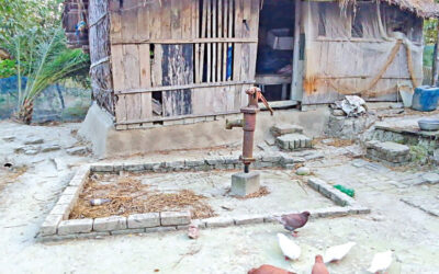 塩分がスンダルバンスの女性たちの生活を蝕む