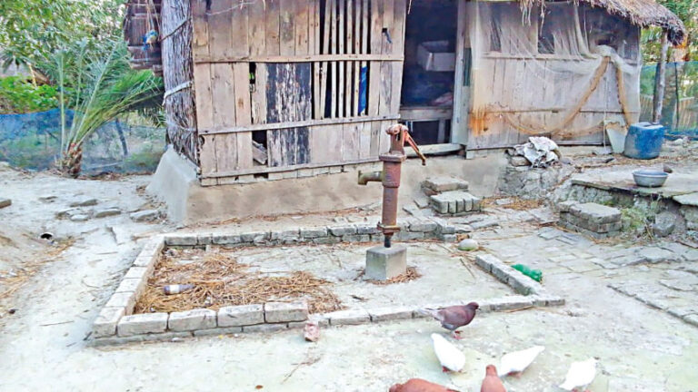 塩分がスンダルバンスの女性たちの生活を蝕む