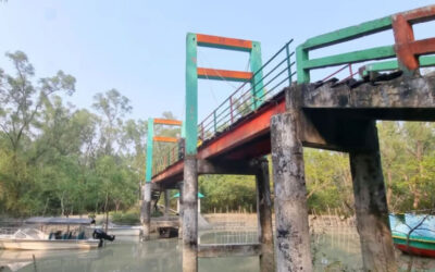 バルグナのエコツーリズム：無視がハリン・ガタの魅力を薄れさせる