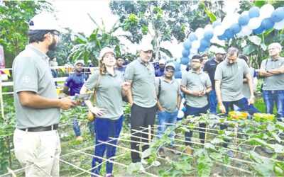 環境を守りながら農業生産量を高めるバイエルの革新的な方法