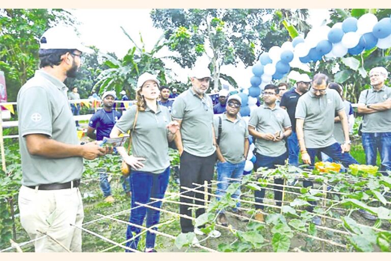 環境を守りながら農業生産量を高めるバイエルの革新的な方法