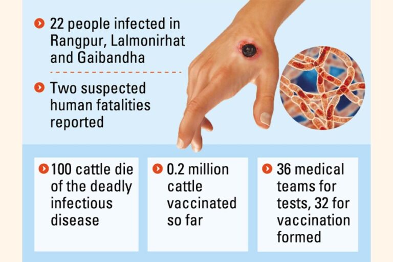 政府は北部地域で炭疽菌対策の特別作戦を開始