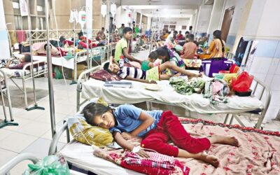 デング熱による死者数が1日あたり急増、さらに9人死亡