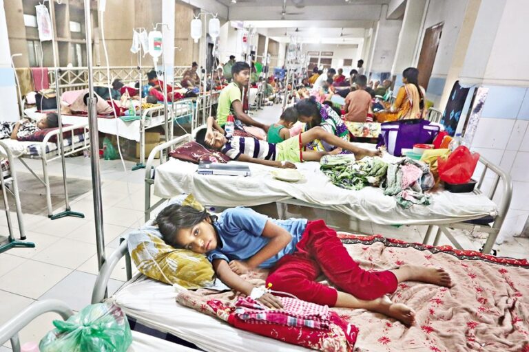 デング熱による死者数が1日あたり急増、さらに9人死亡