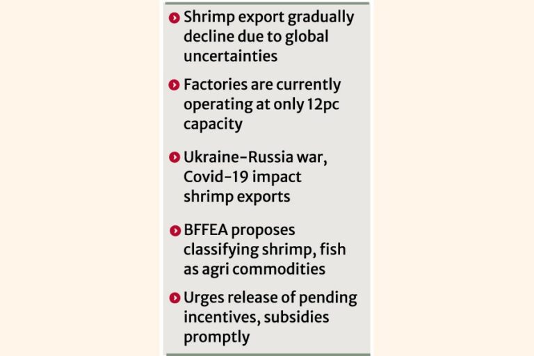 原材料不足と資金不足で苦戦するエビ産業
